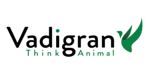 logo vadigran